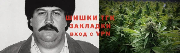 амф Аркадак