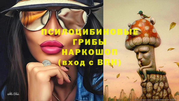 амф Аркадак