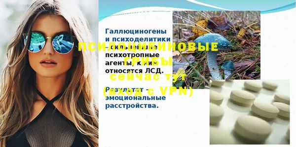 ECSTASY Армянск