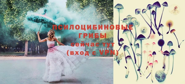 ECSTASY Армянск