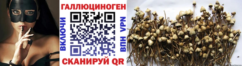 Псилоцибиновые грибы Cubensis  ОМГ ОМГ как войти  Бабаево 
